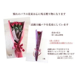 赤バラ プレミアムローズ 1本〜20本 誕生日...の詳細画像2