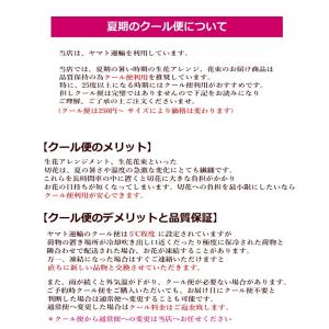 クール便 330円 冷蔵便 生花アレンジ 生花...の詳細画像1