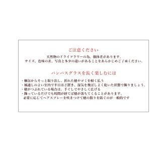 パンパスグラス ドライフラワー ナチュラル イ...の詳細画像3