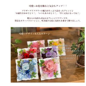 【遅れてごめんね母の日】プリザーブドフラワー「...の詳細画像3