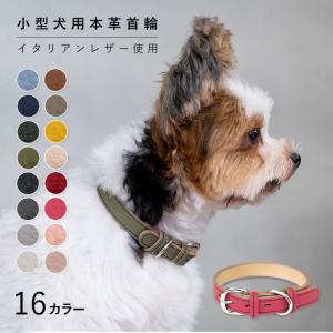 沸騰ブラドン Etna Green etna スペイン製 スペイン製 高級犬用リード