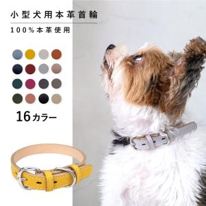 TIFFANY&Co. 新古品 ティファニー ペットカラー ペット用 犬用 首輪