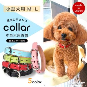 COACH（コーチ） 国内発送 ペット用品 犬用首輪 大型犬 シグネチャー