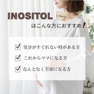 イノシトール イノシトールパウダー 120g ...の詳細画像3