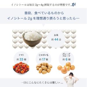 イノシトール イノシトールパウダー 120g ...の詳細画像4