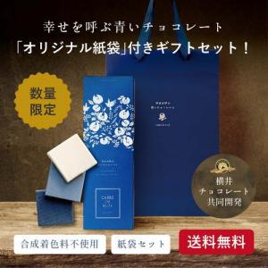 CARRE・DE・BLUE カレドブルー 9枚入り＋手提げ袋　数量限定　幸せを呼ぶ青いチョコレート