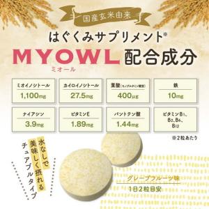 イノシトール はぐくみサプリメント ミオール ...の詳細画像4