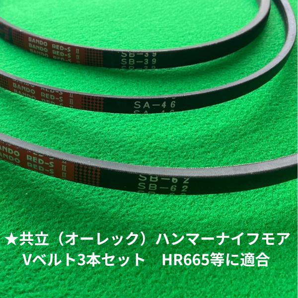 オーレック/共立 ハンマーナイフモア  Vベルト3本セット HR665等に適合※クボタエンジンは除く