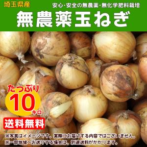 玉ねぎ 10K箱　埼玉県産　無農薬・無化学肥料栽培【送料無料】｜アグリクリエイト