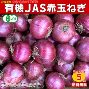 赤玉ねぎ 5kg箱 有機ＪＡＳ