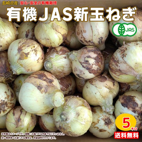 有機新玉ねぎ 5kg箱　有機ＪＡＳ 送料無料