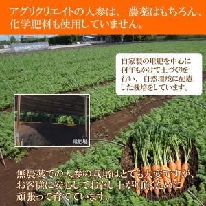 無農薬人参ジュース用洗い5kg クール冷蔵便専用の詳細画像1