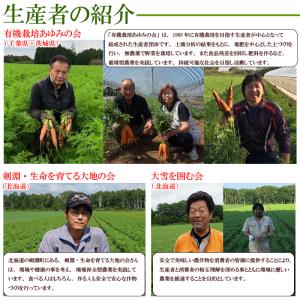 無農薬人参ジュース用洗い5kg クール冷蔵便専用の詳細画像2