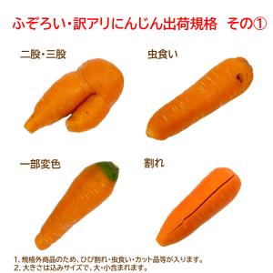 無農薬人参ジュース用洗い5kg クール冷蔵便専用の詳細画像3