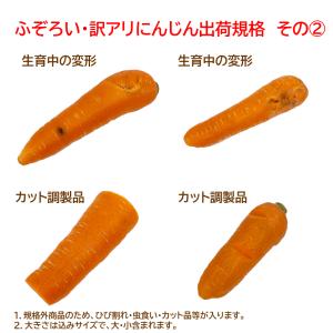 無農薬人参ジュース用洗い5kg クール冷蔵便専用の詳細画像4