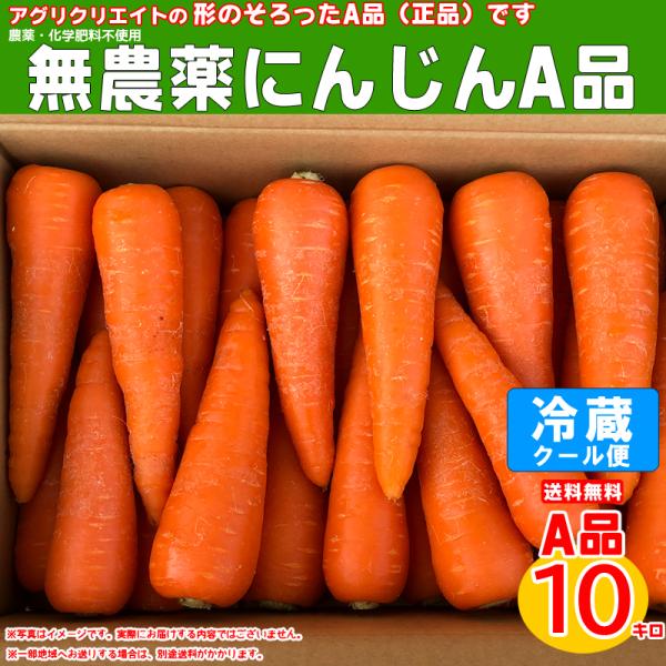 無農薬人参洗い10kg A品　クール冷蔵便専用
