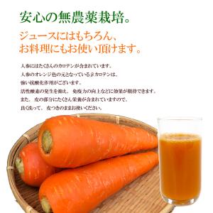 無農薬人参洗い10kg A品 クール冷蔵便専用の詳細画像2