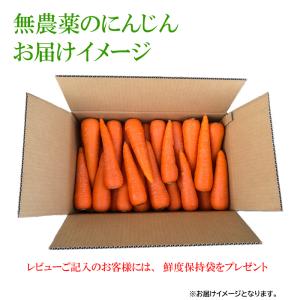 無農薬人参洗い10kg A品 クール冷蔵便専用の詳細画像4