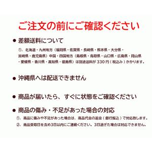 無農薬人参洗い10kg A品 クール冷蔵便専用の詳細画像5