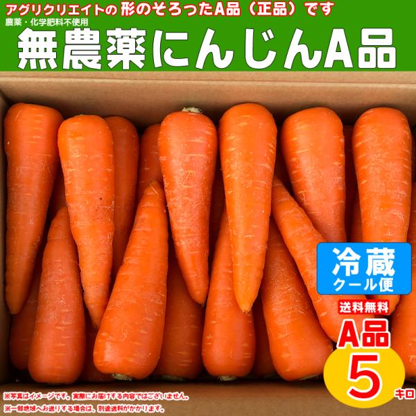 無農薬人参洗い5kg  A品　クール冷蔵便専用