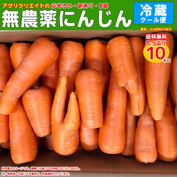 無農薬人参ジュース用洗い10kg　クール冷蔵便専用