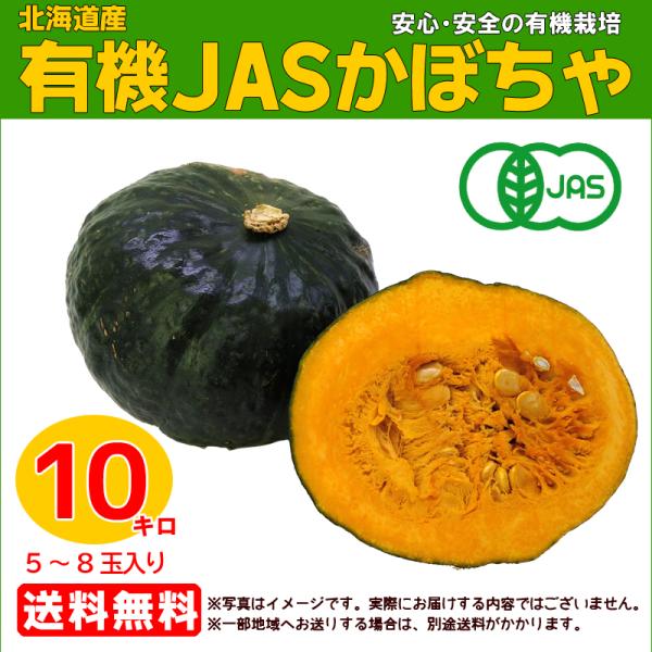 有機かぼちゃ 約10kg箱（５〜８玉入り） 有機ＪＡＳ