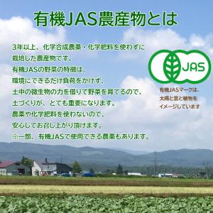 有機かぼちゃ 約10kg箱(5〜8玉入り) 有...の詳細画像1