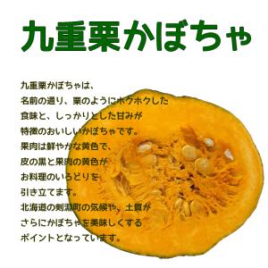 有機かぼちゃ 約10kg箱(5〜8玉入り) 有...の詳細画像2