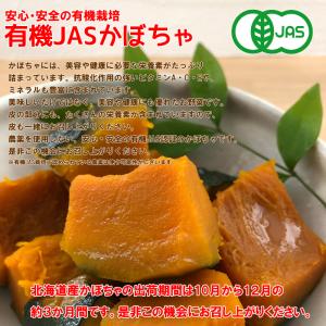 有機かぼちゃ 約10kg箱(5〜8玉入り) 有...の詳細画像4