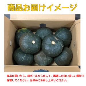 有機かぼちゃ 約10kg箱(5〜8玉入り) 有...の詳細画像5
