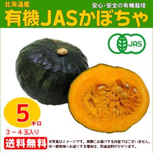 有機かぼちゃ 約5kg（３〜４玉入り）箱(北海道　剣淵・生命を育てる大地の会　他)　有機ＪＡＳ｜agricreate