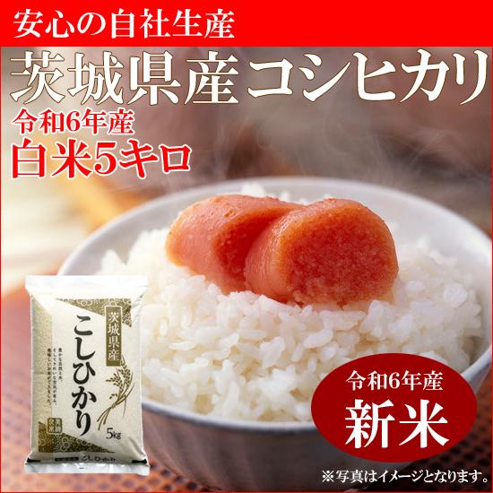 茨城県産コシヒカリ白米5kg　送料無料