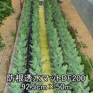 防根透水マットDF200 - 61.6cm×50m×3本セット : 農業資材の