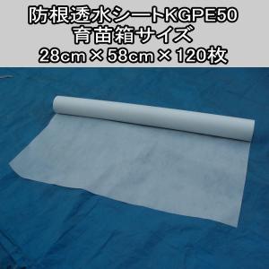 東洋紡 ジャームガード 高吸水シート 幅100cm 1m単位でOK : ベジ