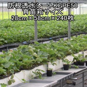 東洋紡 防根透水シート BKS0812G (白) 幅125cm×長さ100m : 農家のお店