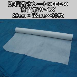 東洋紡 遮根シート 防根透水シート 長さ100m×幅125cm　ビニールハウス 東洋紡 遮根シート 防根透水シート 幅125cm 1m単位でOK : ベジ