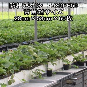 東洋紡 遮根シート 防根透水シート 幅125cm 1m単位でOK : ベジ