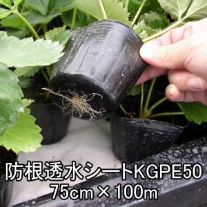 東洋紡 遮根シート 防根透水シート 幅125cm 1m単位でOK : ベジ