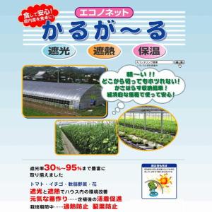 エコノネットかるが〜るSV45ー150cm幅の商品画像
