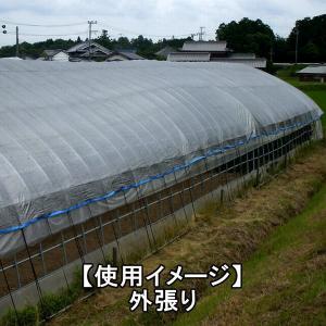 エコノネットかるが〜るSV45ー150cm幅の詳細画像2