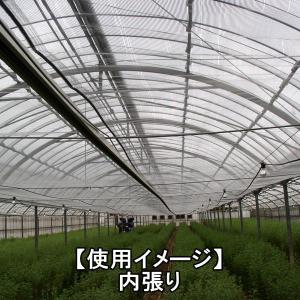 エコノネットかるが〜るSV45ー150cm幅の詳細画像3