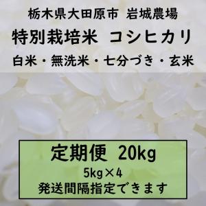 【定期便20kg】特別栽培米コシヒカリ（5kg×4）｜岩城農場
