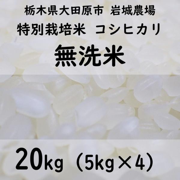 【無洗米20kg】特別栽培米コシヒカリ 2023年産（5kg×4）