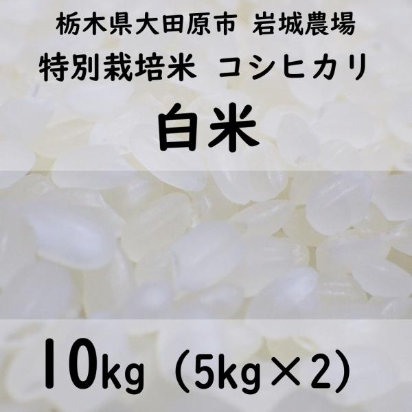 【白米10kg】特別栽培米コシヒカリ 2023年産（5kg×2）