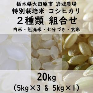【組合せ15kg＋5kg】特別栽培米コシヒカリ 2023年産（5kg×3＋5kg×1）｜岩城農場