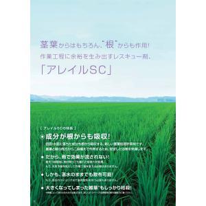 水稲用中後期茎葉処理除草剤「アレイルSC 」5...の詳細画像4