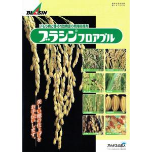 水稲用殺菌剤 ブラシンフロアブル 500mlの詳細画像1