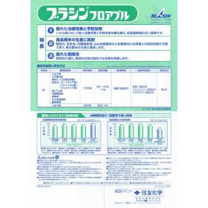 水稲用殺菌剤 ブラシンフロアブル 500mlの詳細画像2