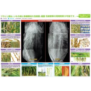水稲用殺菌剤 ブラシンフロアブル 500mlの詳細画像4