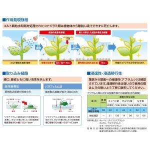 コルト顆粒水和剤 250gの詳細画像2